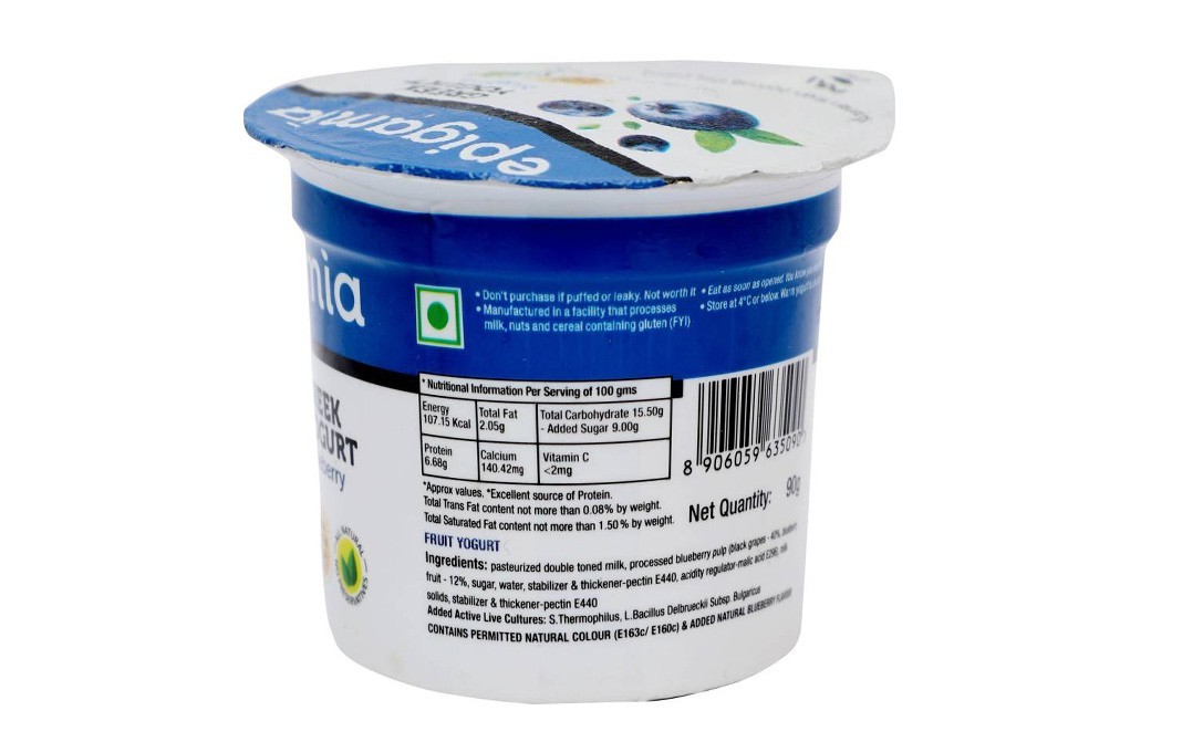Epigamia Greek Yogurt Blueberry   Tub  90 grams